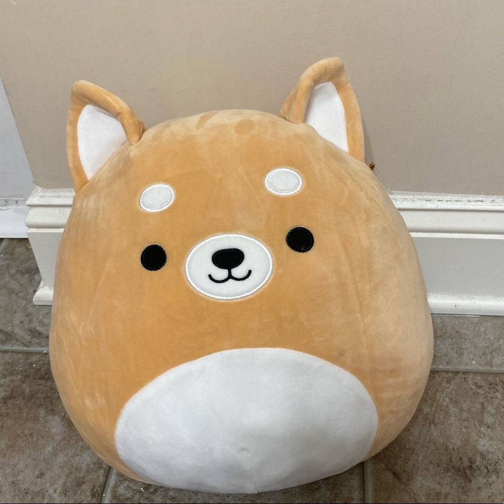 Angie the dog